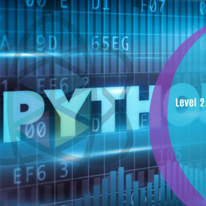 Level 2 Python Course