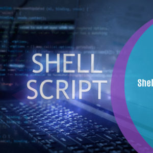 Shell Scripting