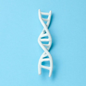 Genetics