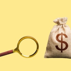 Finance: Financial Investigator