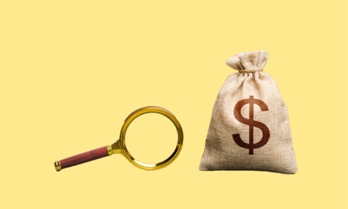 Finance: Financial Investigator