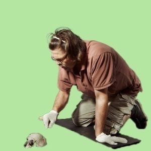 Archaeology & Surveying
