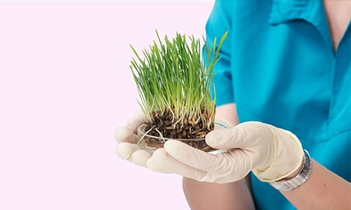 Agricultural Science & Gardening