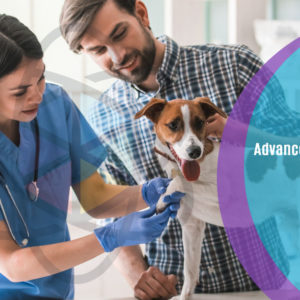 Advanced Pet First Aid