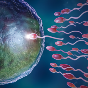 Basics of Reproduction