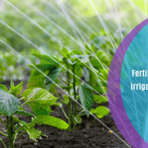 Fertilization and Irrigation Course