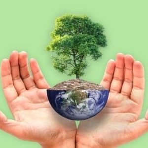 Environmental Health