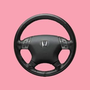 Driving Instructor