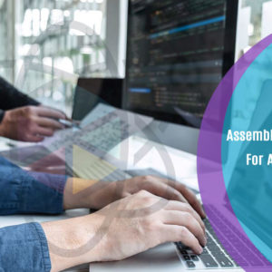 Assembly Programming For All Platforms