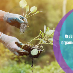 Organic food is beneficial to one's health and well-being. People choose to eat farm fresh veggies to avoid formalin and pesticides. Grow a garden full of fresh vegetables right in your backyard and set yourself apart from chemical food. This exclusively designed Create Your Own Organic Food Garden course outlines the importance of sustainable agriculture and provides you with a thorough understanding of the principles of agroecology. You will have informed knowledge of soil and how to care for it to maximise food production. We'll teach you how to germinate seeds and improve your abilities to deal with pests and diseases. The cost-effective approach of creating a quick organic food garden will astound you. Enrol now to begin the fun process of establishing your own veggie garden.