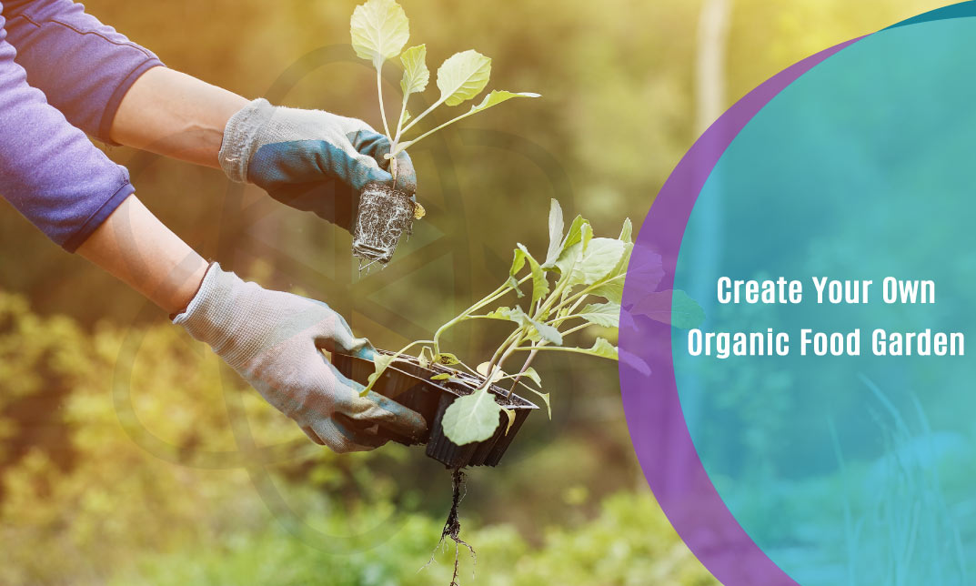 Organic food is beneficial to one's health and well-being. People choose to eat farm fresh veggies to avoid formalin and pesticides. Grow a garden full of fresh vegetables right in your backyard and set yourself apart from chemical food. This exclusively designed Create Your Own Organic Food Garden course outlines the importance of sustainable agriculture and provides you with a thorough understanding of the principles of agroecology. You will have informed knowledge of soil and how to care for it to maximise food production. We'll teach you how to germinate seeds and improve your abilities to deal with pests and diseases. The cost-effective approach of creating a quick organic food garden will astound you. Enrol now to begin the fun process of establishing your own veggie garden.