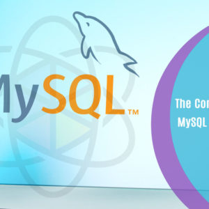 The Complete Nodejs MySQL Login System