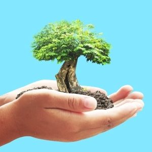 Environment Management