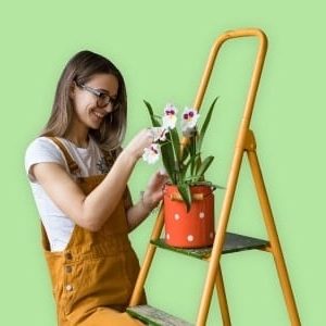 Gardening - Garden Design