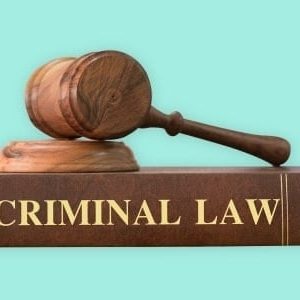 Criminal Law & Police