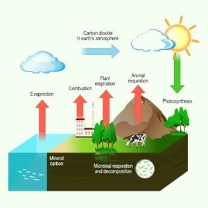 Carbon Literacy Knowledge