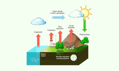 Carbon Literacy Knowledge