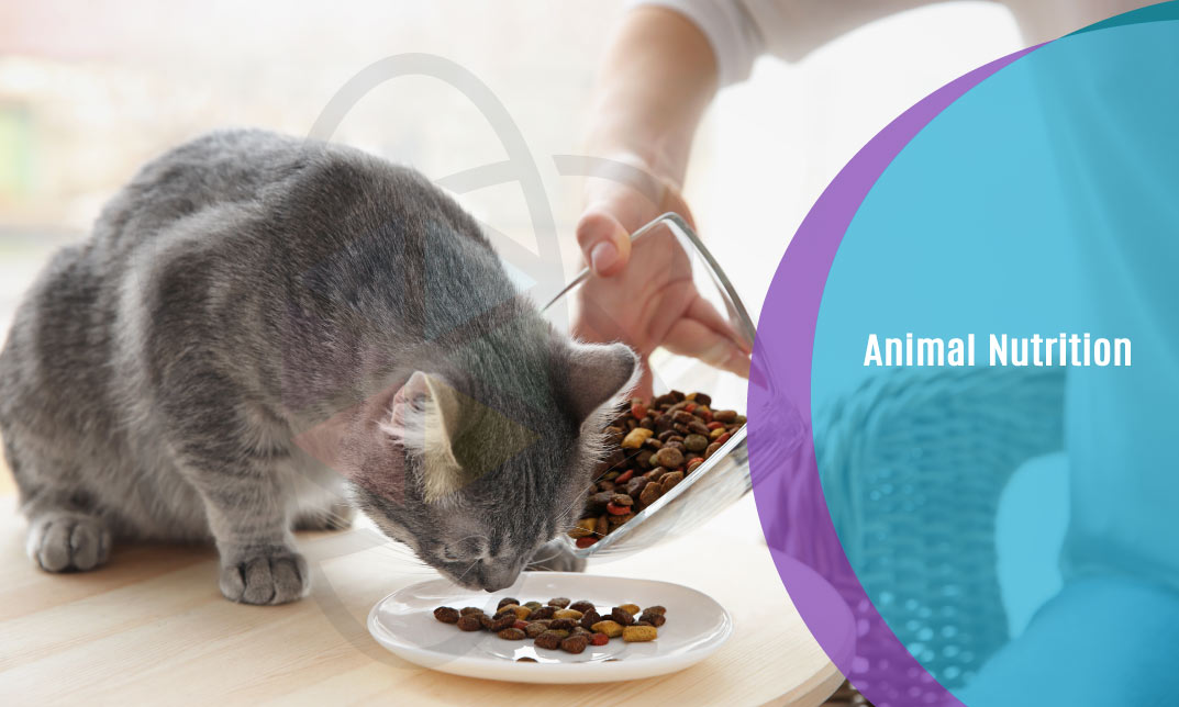 Animal Nutrition