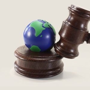 Environmental Law 2021