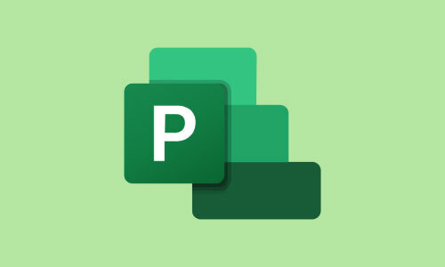 Planning & Control Using Microsoft Project 2013, 2016 & 2019
