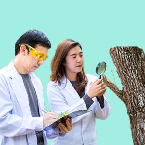Environmental Advisor