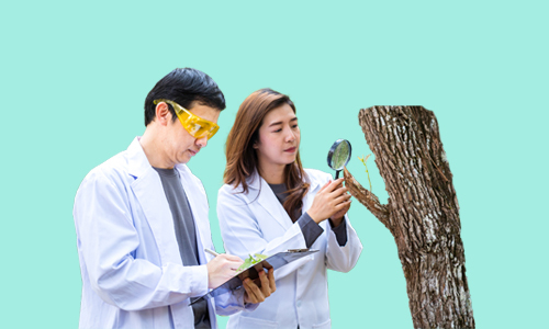 Environmental Advisor