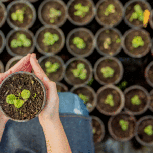 Horticulture
