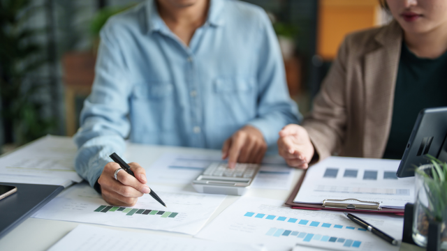 Internal Audit Analyst