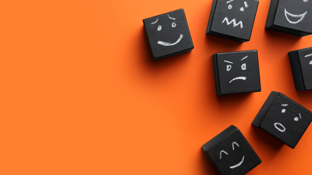 Foundation in Emotional Intelligence