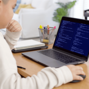 Python Programming for Kids