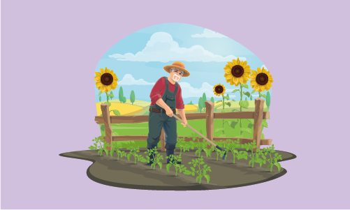 Garden Design and Landscaping for Beginners