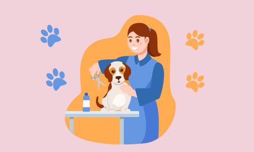 Dog Grooming