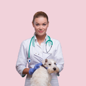 Dog Health Care