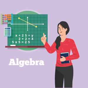 Essential Algebra Course
