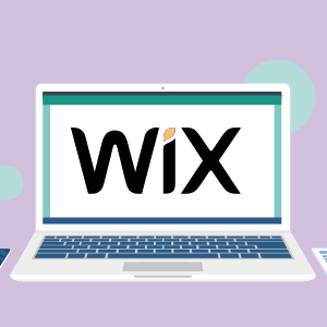 Make Professional Websites with Wix: Beginners Guide
