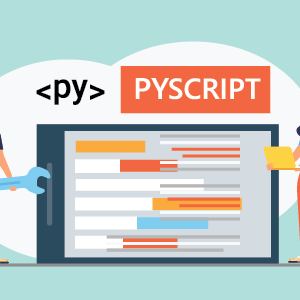 PyScript Fundamentals Training