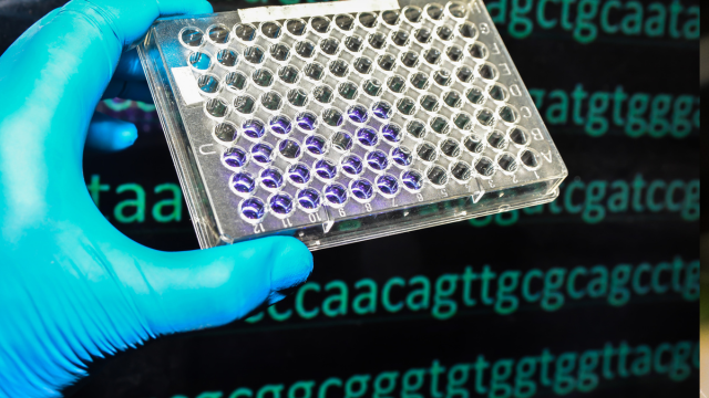 Bioinformatics