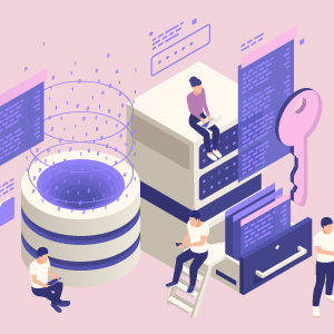 SQL Database Basics for Everyone