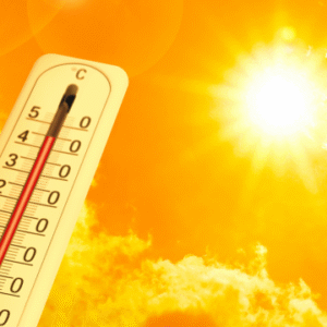 Heatwave: Health and Safety Tips