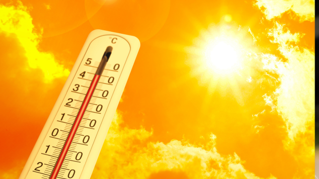 Heatwave: Health and Safety Tips