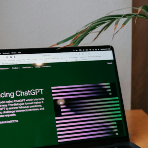 A Beginner Crash Course on ChatGPT