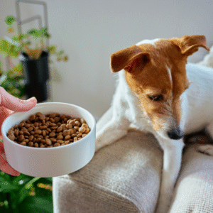 Dog Nutrition
