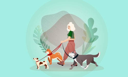 Dog Walking Business: Launch Your Own Canine Company