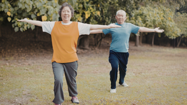 Tai Chi Workout - Original Chen Style Old Form Two