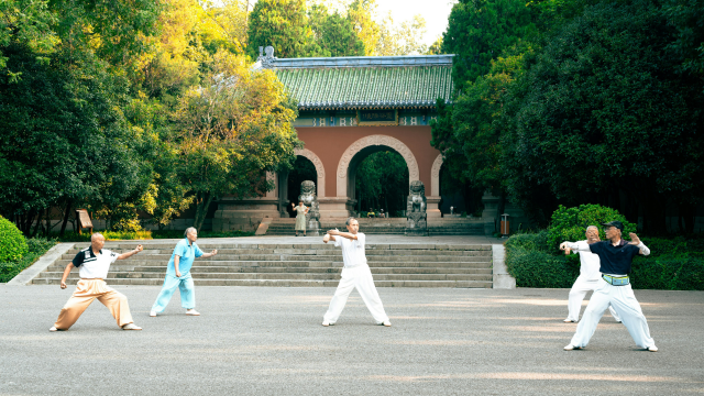 Chen Style Tai Chi Workout - 56 Postures
