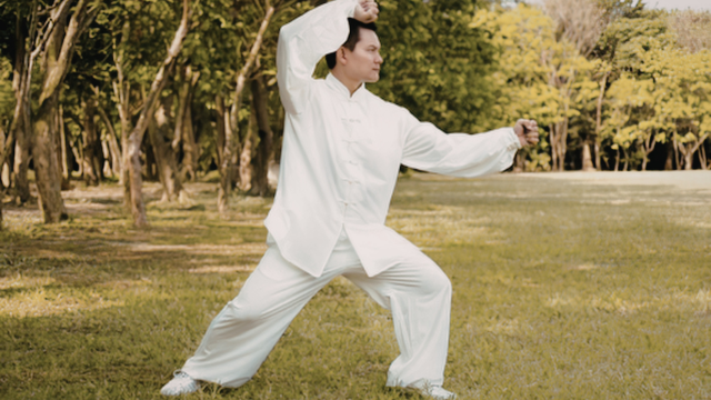Tai Chi Martial Art - Original Chen Style Old Form One