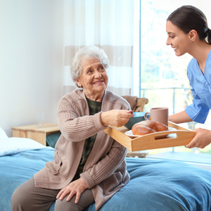 Senior Adult Care Support Worker