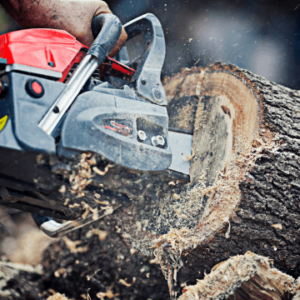 Chainsaw Safety Training