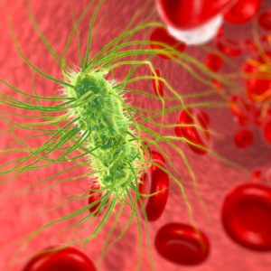 Bloodborne Pathogens