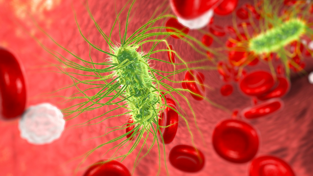 Bloodborne Pathogens